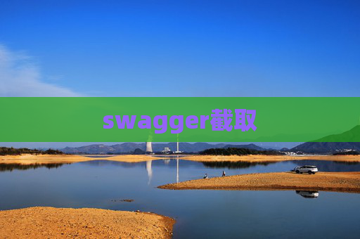 swagger截取